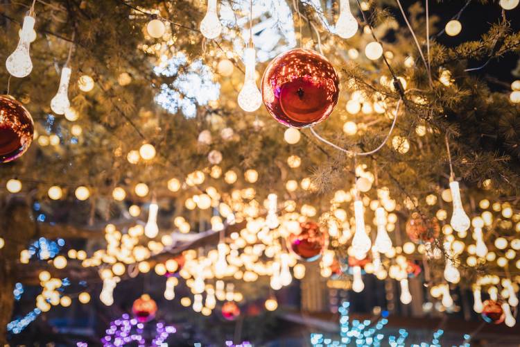 Christmas lights on a tree