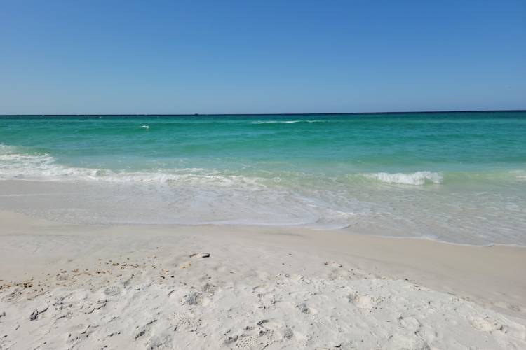 Beach in Florida Gulf of Mexico