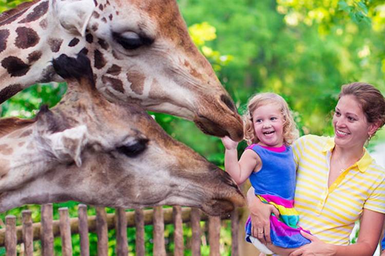 mother and child with giraffes at zoo