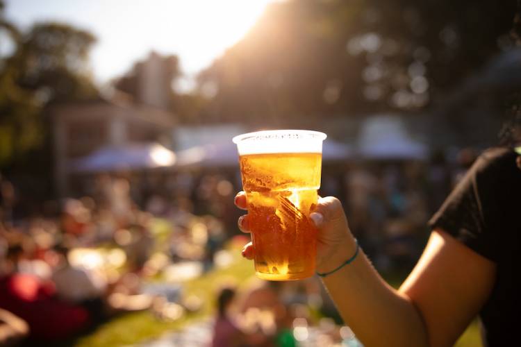 person holding a beer glass at outdoor festival