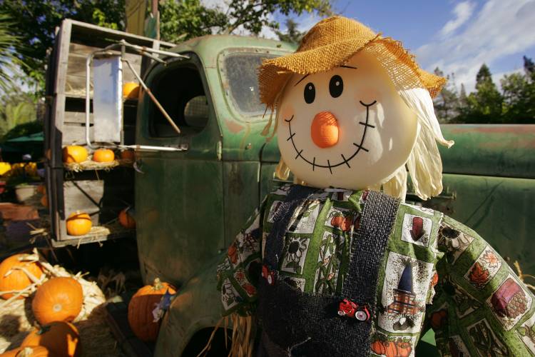 scarecrow and pumpkins by an old truck for fall decorations