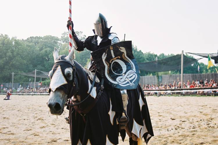 person dressed as a knight for renaissance festival